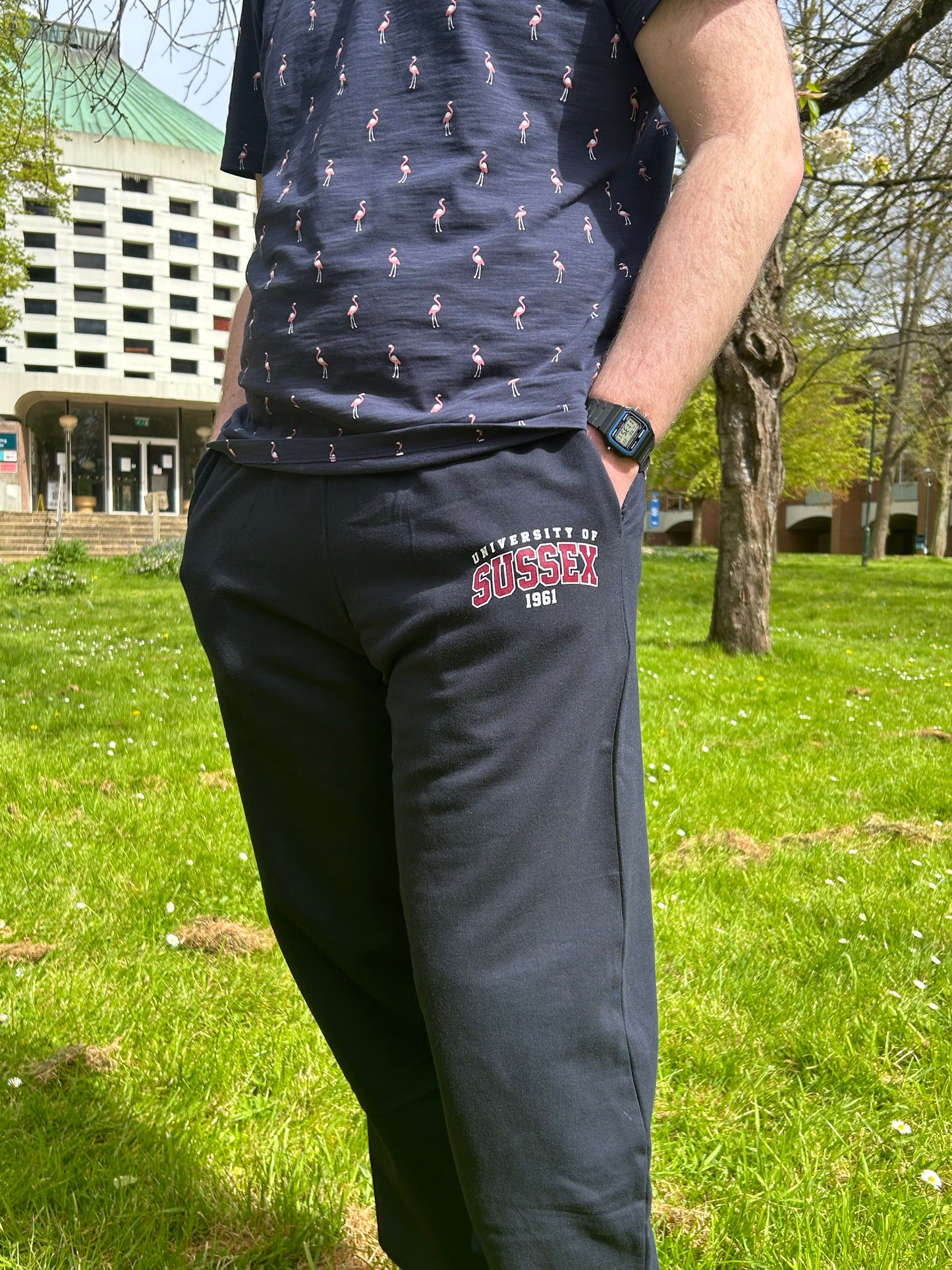 College Cuffed Jog Pants