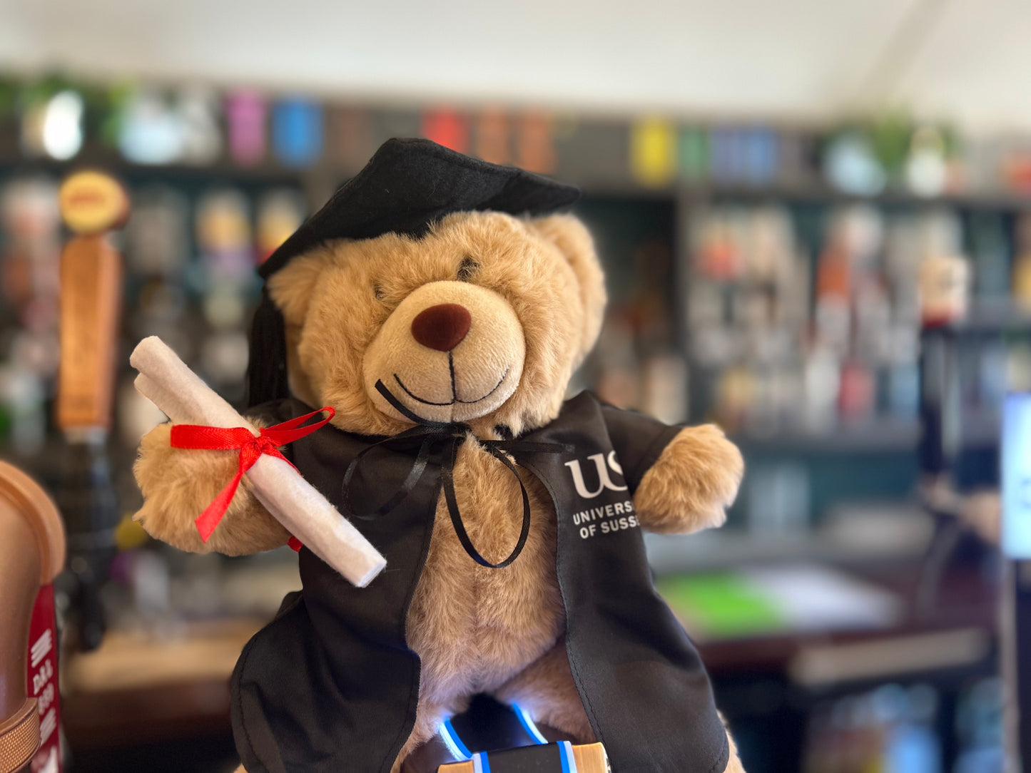 Graduation Bear