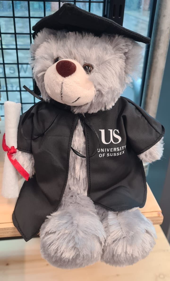 Graduation Bear