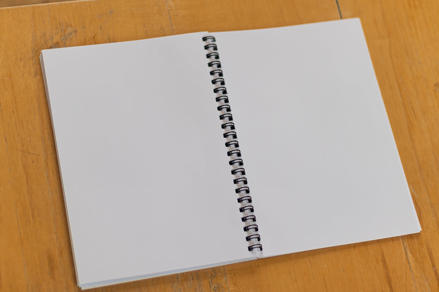 Brighton Notebook