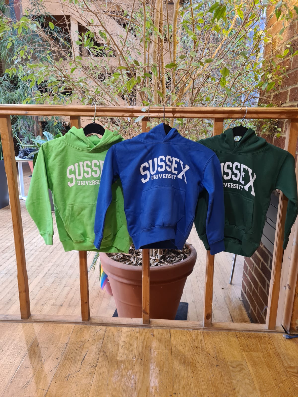 Children's Hoodie Sussex University