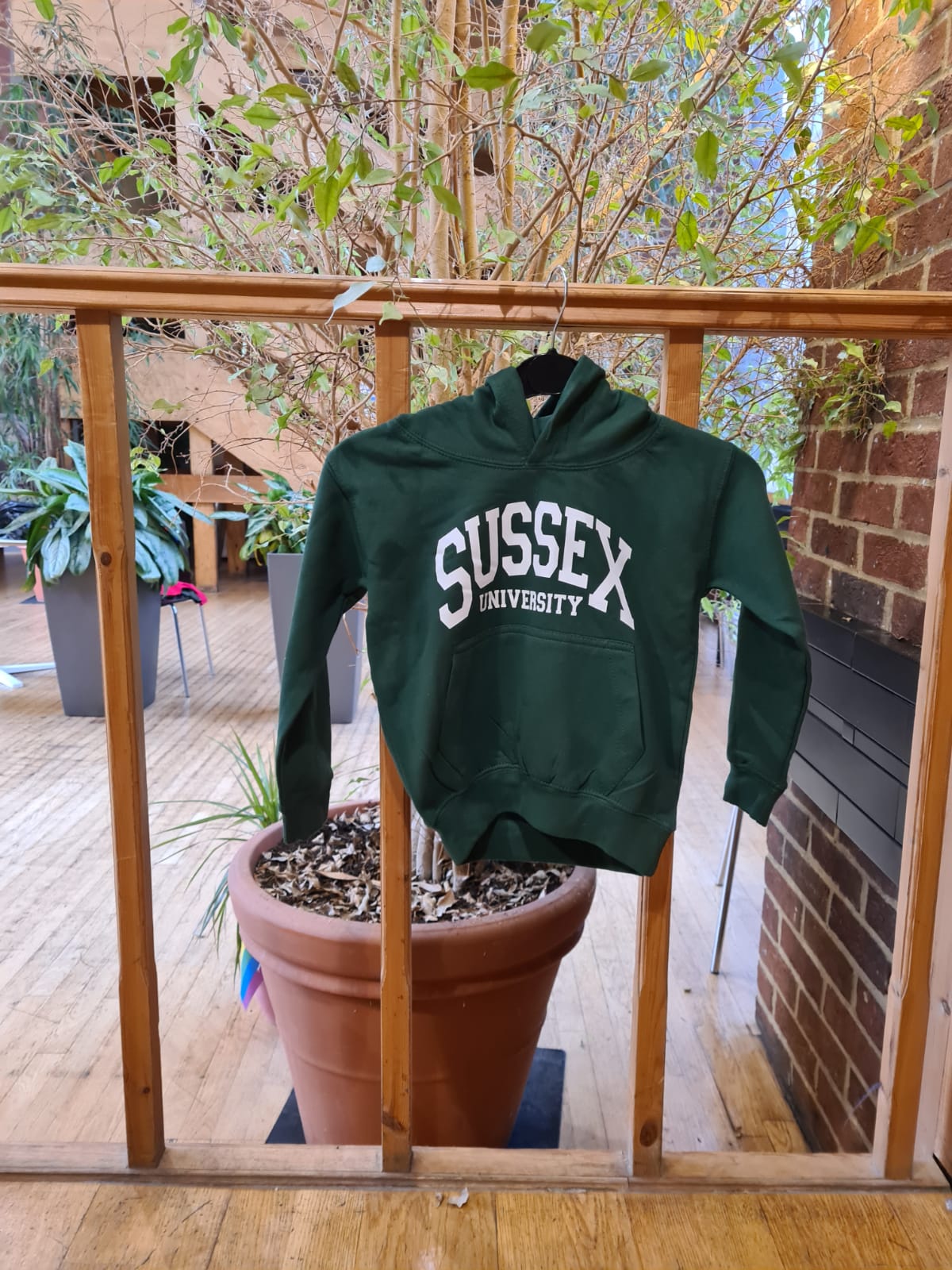 Children's Hoodie Sussex University