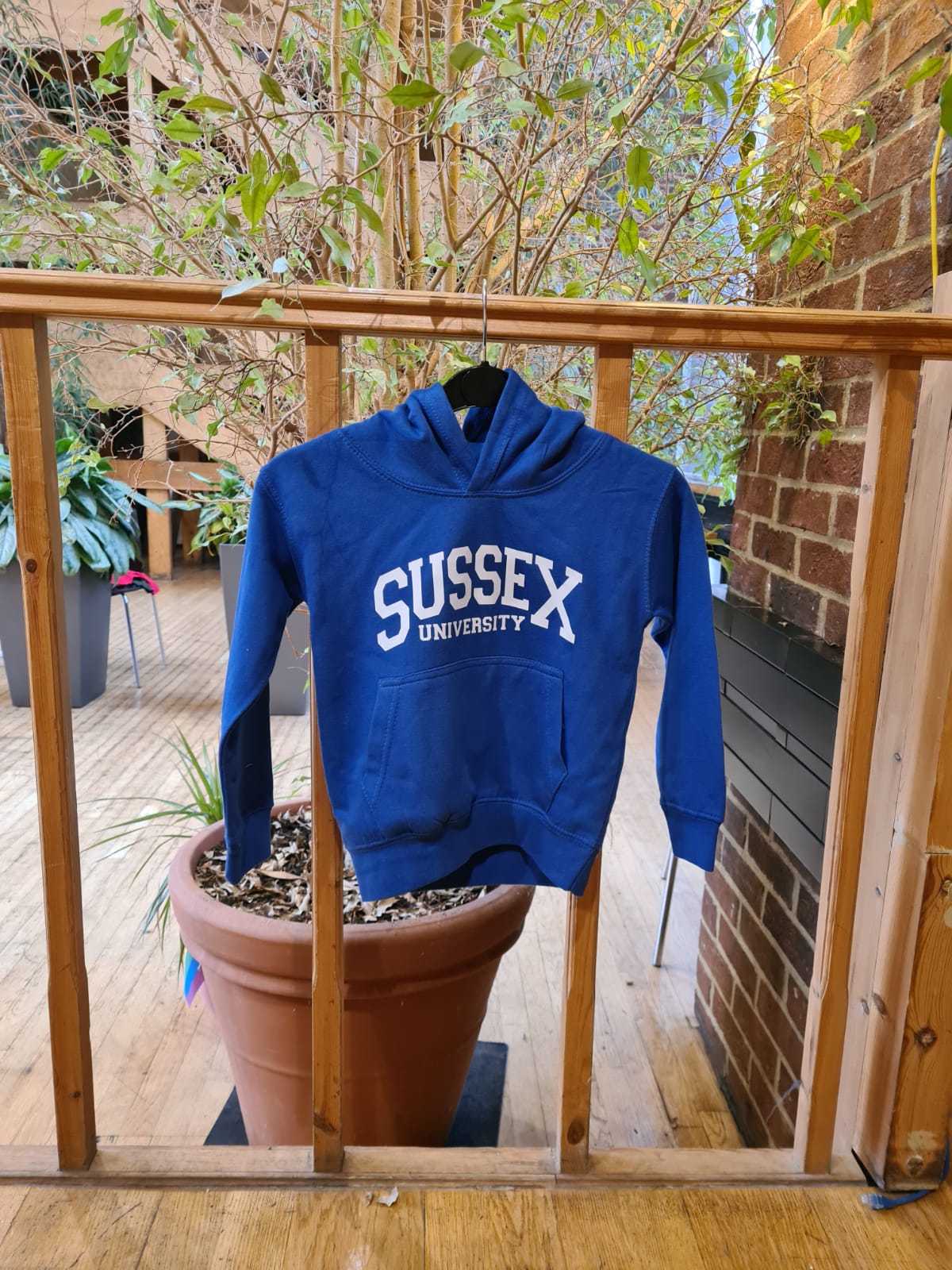 Children's Hoodie Sussex University