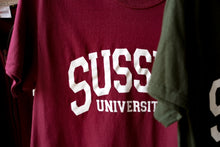 Load image into Gallery viewer, University of Sussex T-shirt
