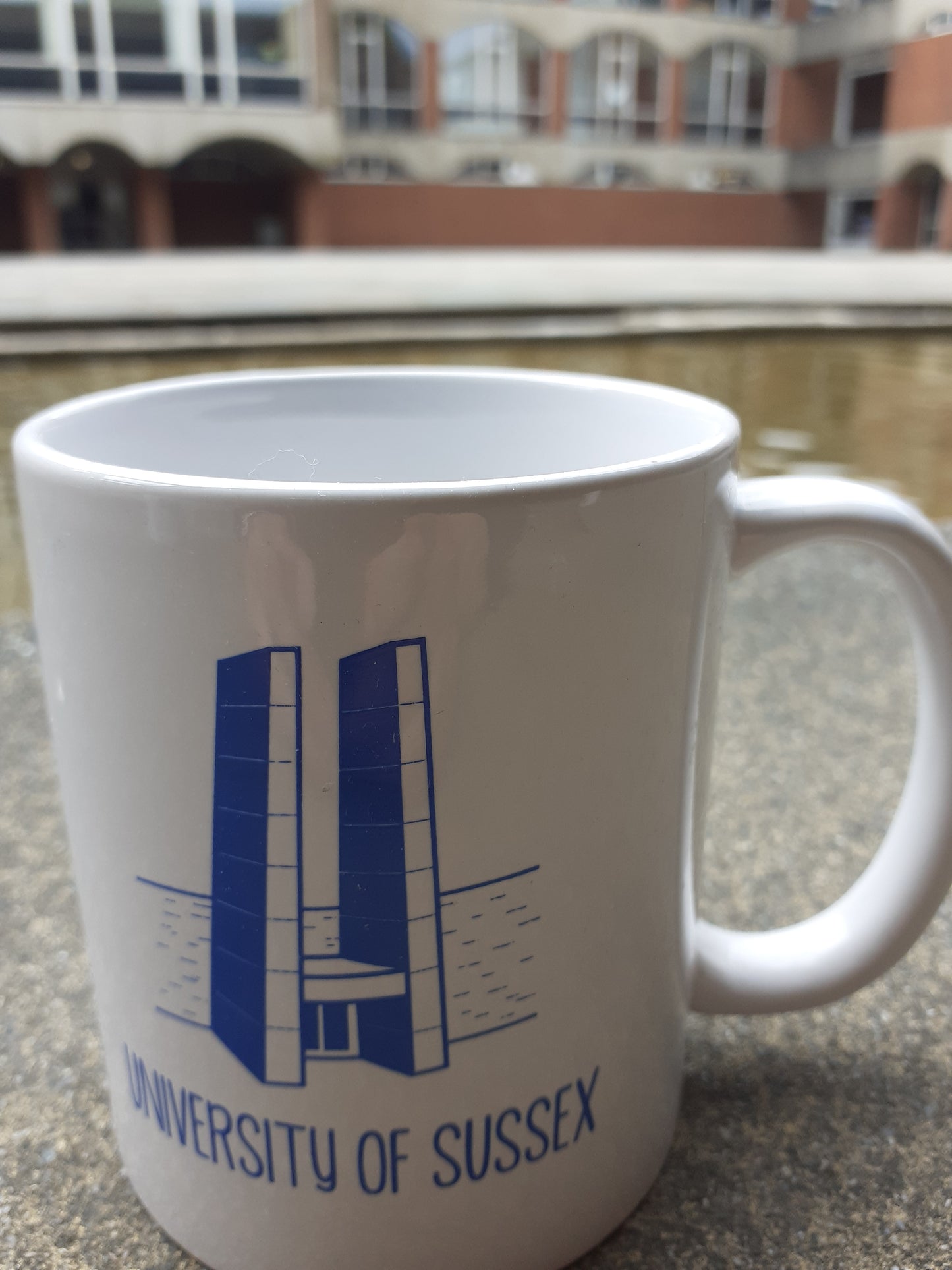 Arts Arches Mug