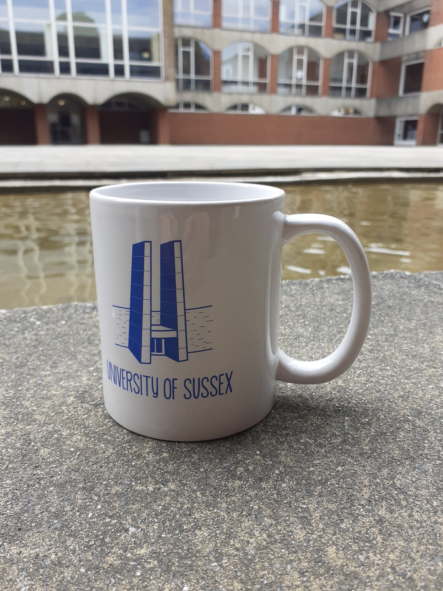 Arts Arches Mug