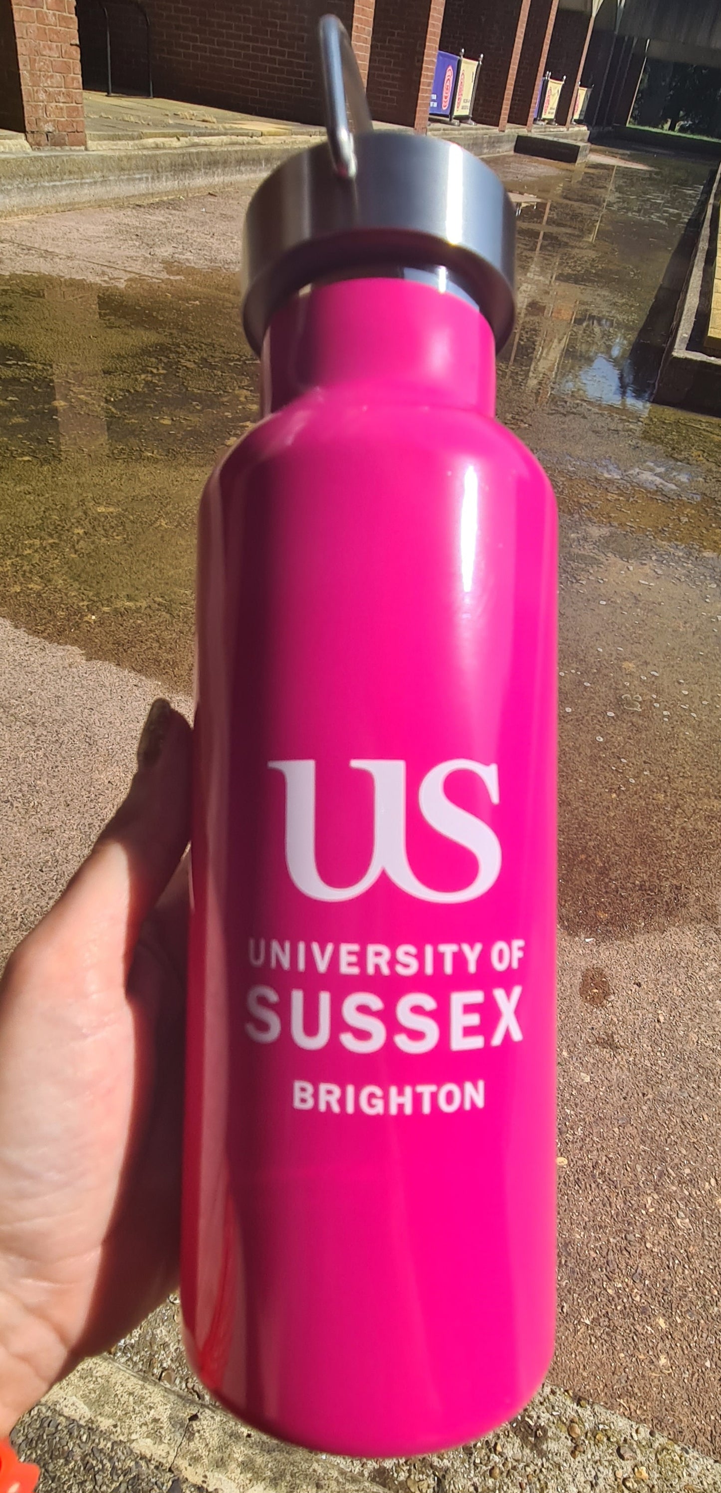 University of Sussex Insulated Water Bottle