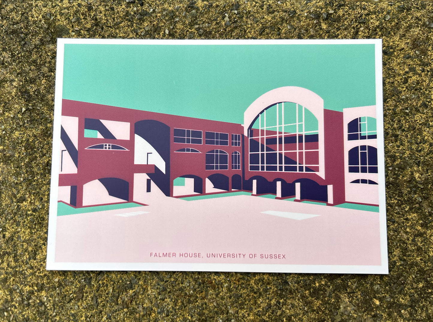 Falmer House Coloured Postcard