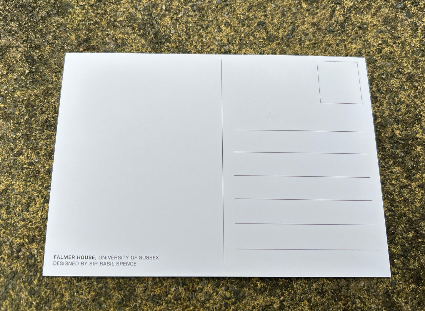 Falmer House Coloured Postcard