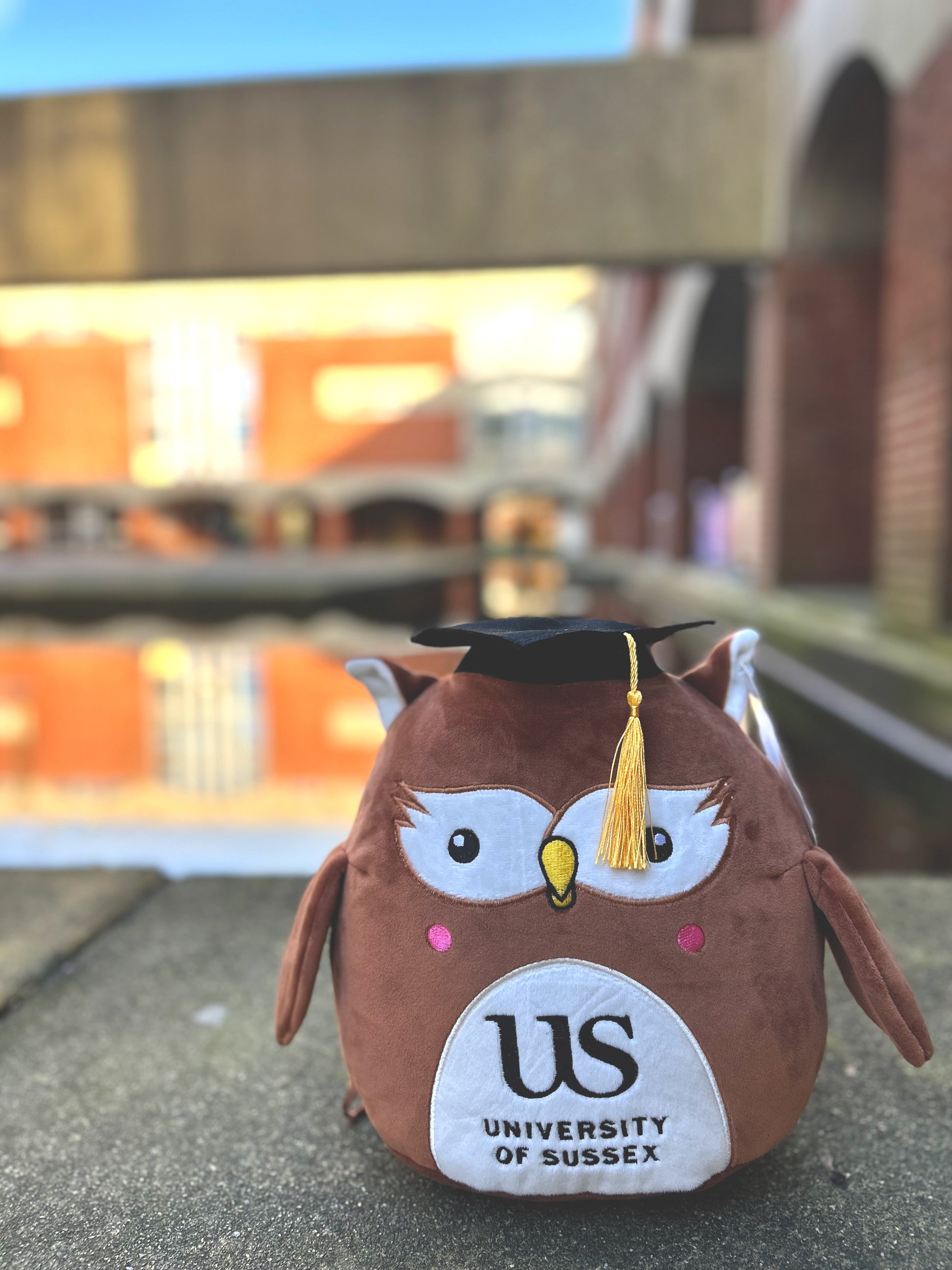 Plush owl toy with a graduation cap and 'University of Sussex' logo on a blurred background of outside Falmer House, with the Moat behind the owl
