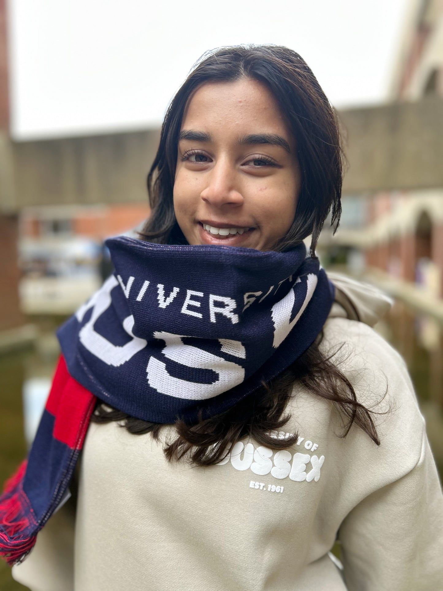 Sussex colours scarf