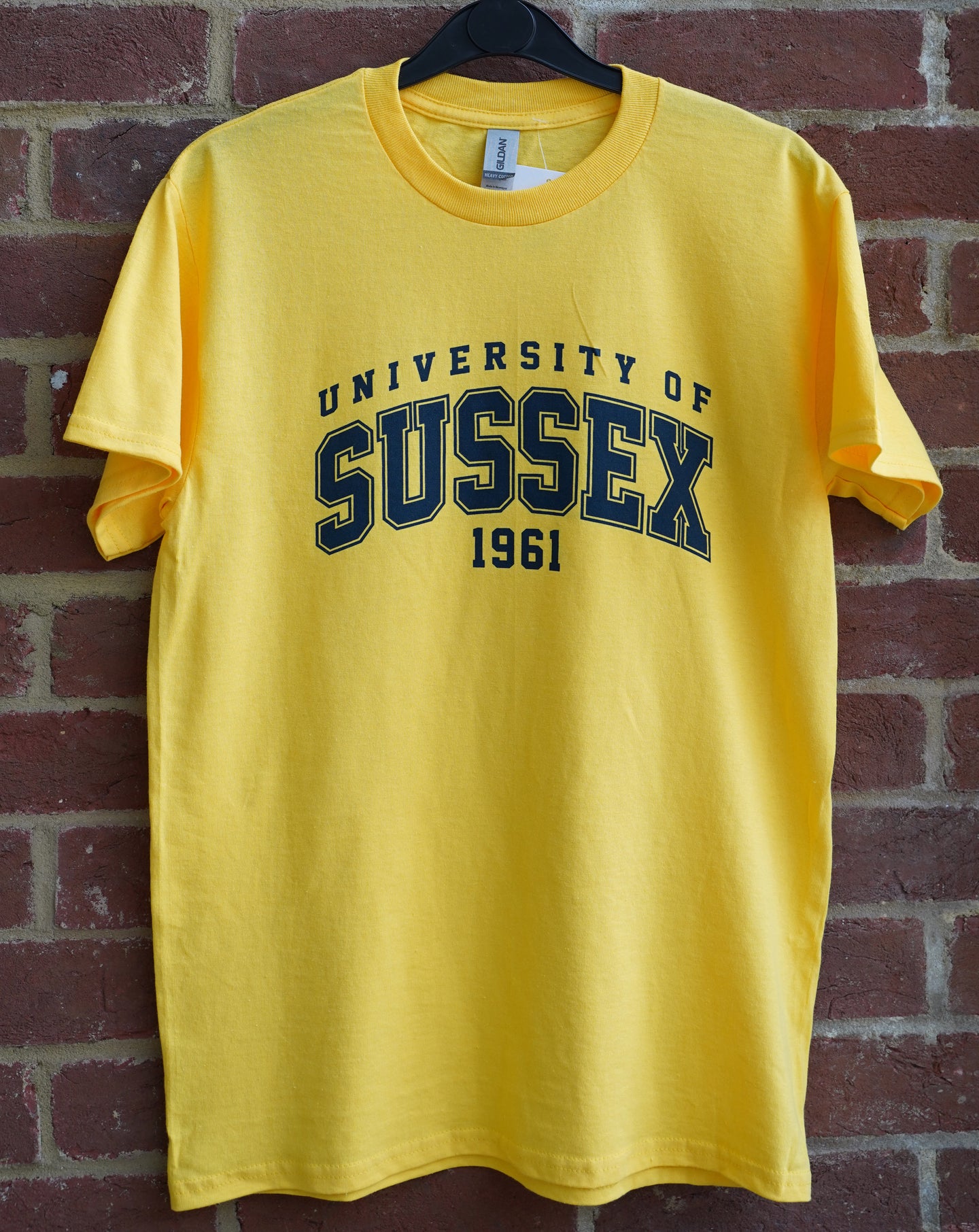 University of Sussex 1961 T-shirt