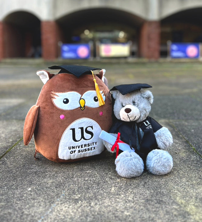 Two plush toys, an owl and a bear, wearing graduation caps and gowns on a concrete surface in the middle of Falmer House Quad, sitting next to one another.