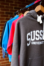 Load image into Gallery viewer, Ultrasoft University of Sussex Hoodie
