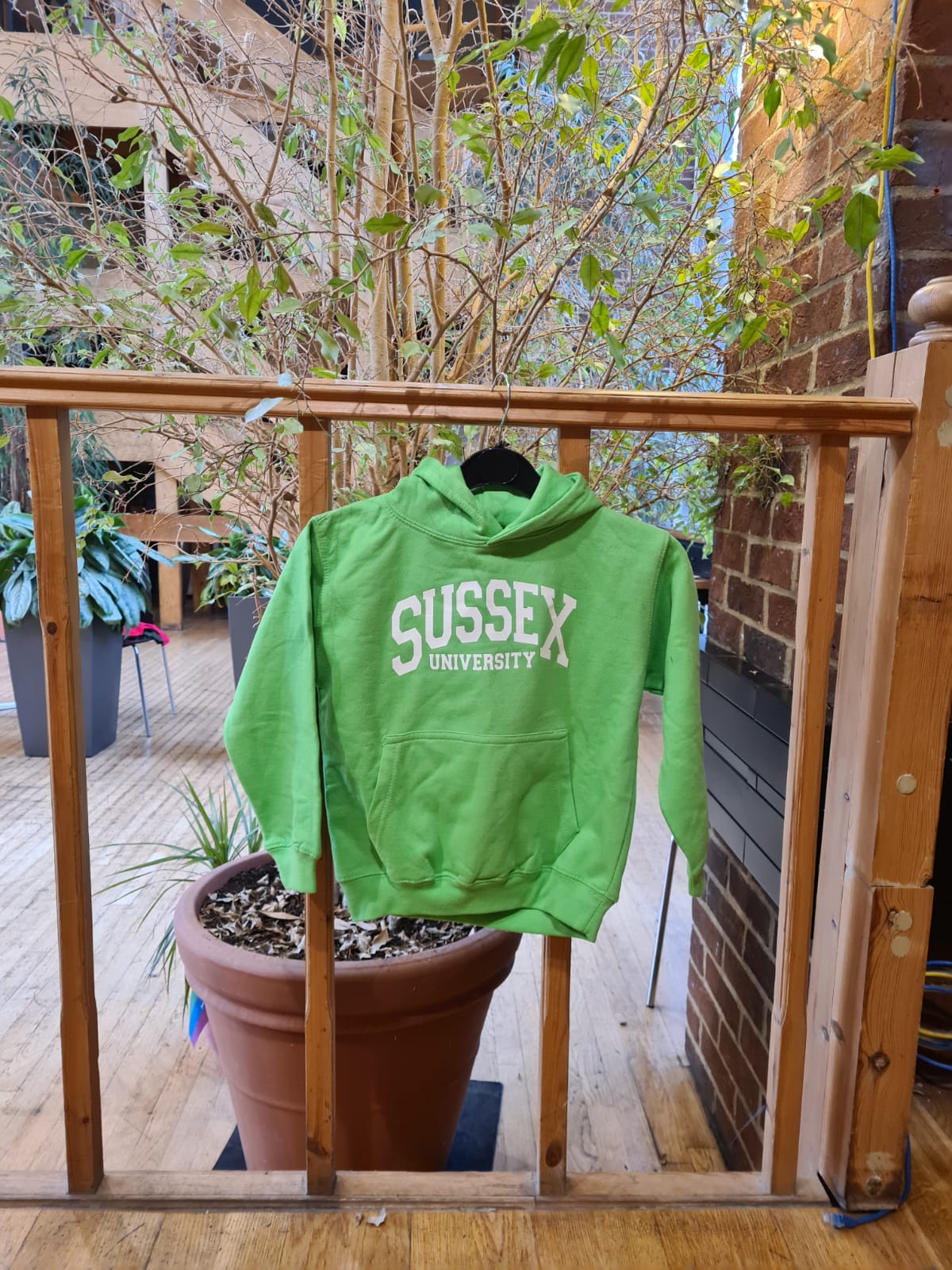 Children's Hoodie Sussex University