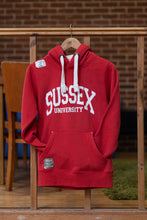 Load image into Gallery viewer, Ultrasoft University of Sussex Hoodie
