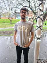 Load image into Gallery viewer, University of Sussex T-shirt
